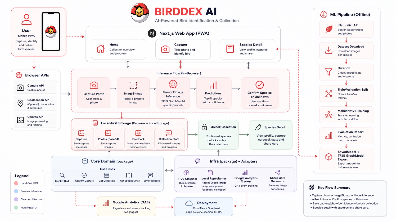 Captura de cámara de BirdDex AI mostrando una foto de bem-te-vi usada en el flujo de identificación y colección